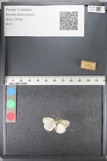 Media type: image;   Entomology 120835